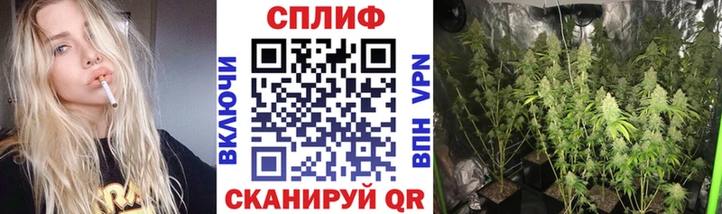 Наркота Сясьстрой APVP Бошки Шишки MEGA маркетплейс КОКАИН