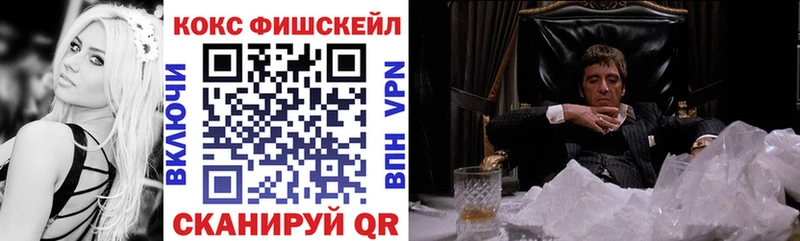 Кокаин Fish Scale  закладка  Сясьстрой 