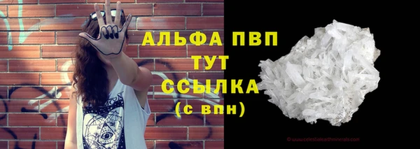 шишки Абаза