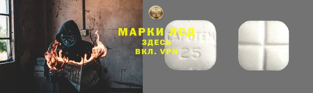 шишки Абаза