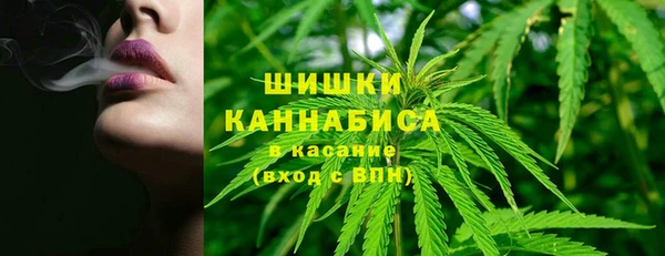шишки Абаза